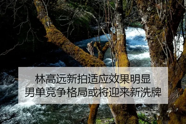 林高远新拍适应效果明显 男单竞争格局或将迎来新洗牌